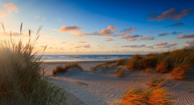 The Royal Ii - R.q.c. Apartment Den Haag